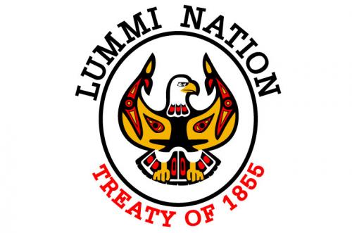 img lummination