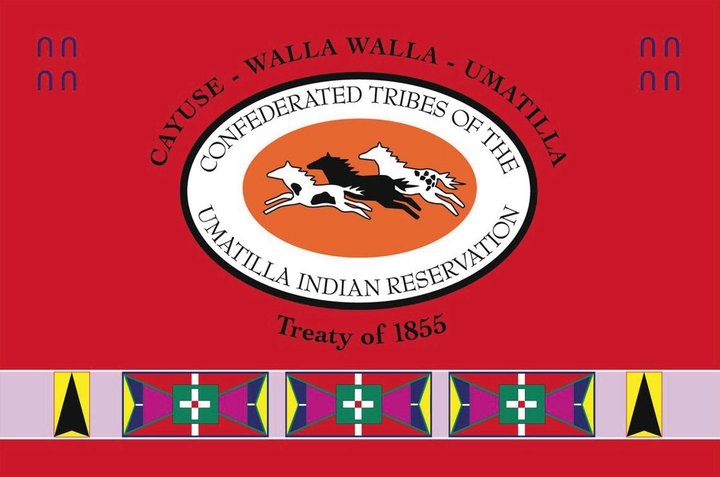 Tribal Logo
