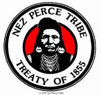 Tribal Logo