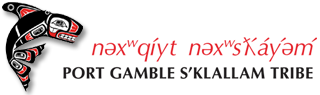 Tribal Logo